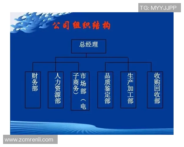 创新体育运动产品创业计划助力健康生活方式的实现与推广